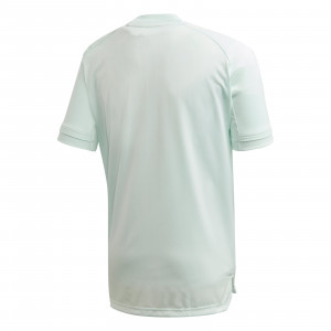 /F/I/FI6276_imagen-de-la-camiseta-de-manga-corta-junior-de-futbol-de-entrenamiento-fef-adidas-2020-verde_2_trasera.jpg