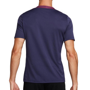 /F/J/FJ2919-555_camiseta-purpura-nike-inglaterra-mujer-entrenamiento-strike-dri-frit_2_completa-trasera.jpg