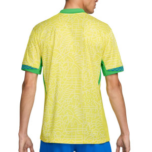 /F/J/FJ4284-706_camiseta-amarilla-nike-brasil-2024-2025-stadium-dri-fit_2_completa-trasera.jpg