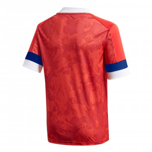 /F/K/FK4437_imagen-de-la-camiseta-de-manga-corta-de-futbol-de-la-primera-equipacion-rfu-rusia-adidas-2020-rojo_2_trasera.jpg