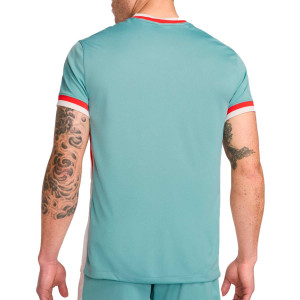 /F/N/FN8777-018_camiseta-azul-claro-nike-2a-atletico-2024-2025-dri-fit-stadium_2_completa-trasera.jpg