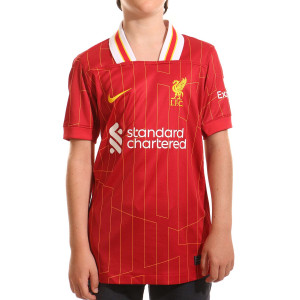 /F/N/FN9154-688-04VRGL.I_camiseta-roja-nike-liverpool-nino-virgil-2024-2025-dri-fit-stadium-pl_2_completa-trasera.jpg