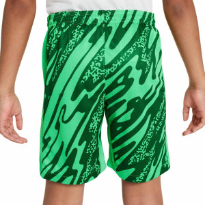 /F/N/FN9186-329_short-verde-nike-barcelona-nino-portero-2024-2025-dri-fit-stadium_2_completa-trasera.jpg