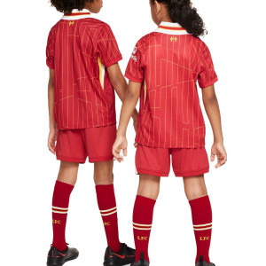 /F/N/FN9234-688_equipacion-roja-nike-liverpool-2024-2025-dri-fit-stadium-_2_completa-trasera.jpg