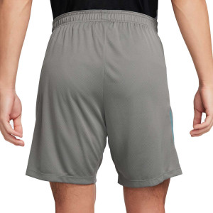 /F/N/FN9382-029_short-gris-nike-atletico-strike-dri-fit_2_completa-trasera.jpg