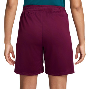 /F/N/FN9394-610_short-burdeos-nike-psg-entrenamiento-d-ri-fit-strike_2_completa-trasera.jpg