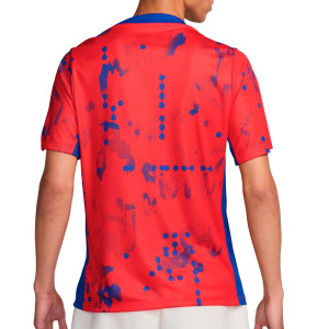 /F/N/FN9642-696_camiseta-rojo-nike-atletico-pre-match-academy-pro-dri-fit_2_completa-trasera.jpg