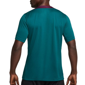 /F/N/FN9821-382_camiseta-trullo-nike-psg-entreno-dri-fit_2_completa-trasera.jpg