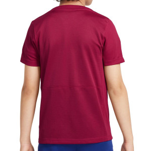 /F/Q/FQ2752-621_camiseta-borgona-nike-barcelona-nino-academy-pro-dri-fit_2_completa-trasera.jpg