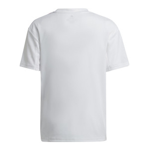 /G/A/GA8976_camiseta-blanca-adidas-olympique-lyon-nino-2022-2023_2_completa-trasera.jpg
