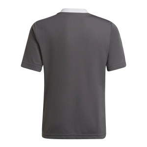 /H/5/H57499_camiseta-gris-adidas-entrada-22-nino_2_completa-trasera.jpg