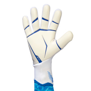 /H/6/H62418_guantes-portero-blancos--azules-adidas-predator-pro_2_completa-palma-mano-izquierda.jpg
