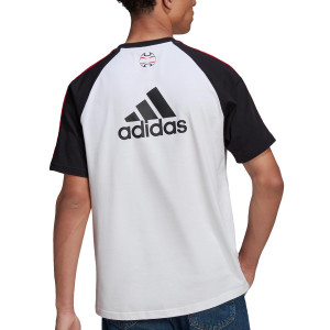 /H/6/H64070_camiseta-blanca-adidas-united-teamgeist_2_completa-trasera.jpg