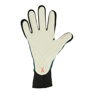 /H/6/H65508_guantes-portero-negros-adidas-x-pro_2_completa-palma-mano-izquierda.jpg