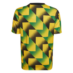 /H/A/HA5305_camiseta-amarilla--verde-adidas-arsenal-nino-pre-match_2_completa-trasera.jpg