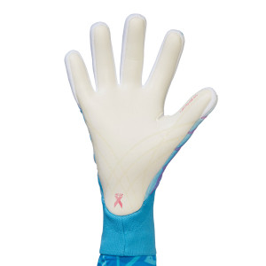 /H/B/HB8060_guantes-portero-azul-celeste-adidas-x-pro_2_completa-palma-mano-izquierda.jpg