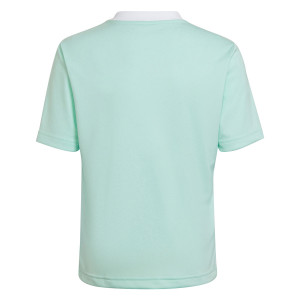 /H/C/HC5078_camiseta-azul-celeste-adidas-entrada-22-nino_2_completa-trasera.jpg