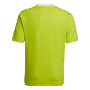 /H/C/HC5079_camiseta-amarilla-adidas-entrada-22-nino_2_completa-trasera.jpg