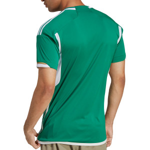 /H/E/HE9256_camiseta-verde--blanca-adidas-2a-algeria-2022-2023_2_completa-trasera.jpg