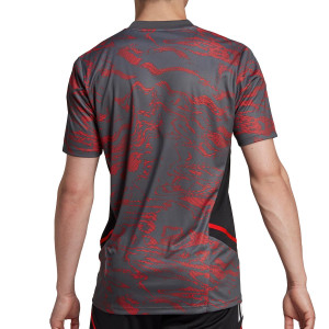 /H/F/HF1391_camiseta-gris--roja-adidas-bayern-entrenamiento-ucl_2_completa-trasera.jpg