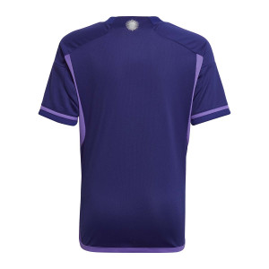 /H/F/HF1489_camiseta-purpura-adidas-2a-argentina-nino-2022-2023_2_completa-trasera.jpg