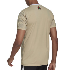 /H/G/HG1393_camiseta-beige-adidas-3a-ajax-2022-2023_2_completa-trasera.jpg