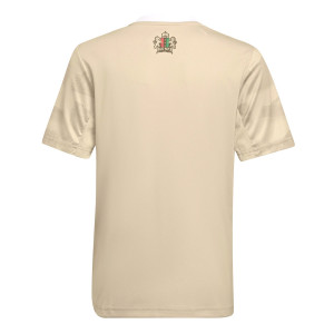 /H/G/HG1394_camiseta-beige-adidas-3a-ajax-nino-2022-2023_2_completa-trasera.jpg