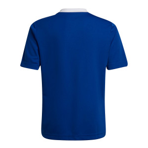 /H/G/HG3948_camiseta-azul-adidas-entrada-22-nino_2_completa-trasera.jpg