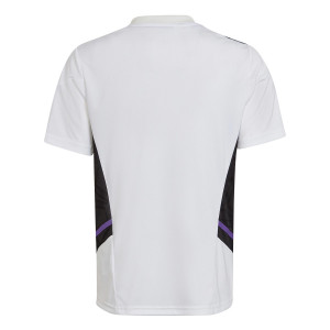 /H/G/HG4023_camiseta-blanca-adidas-real-madrid-nino-entrenamiento_2_completa-trasera.jpg