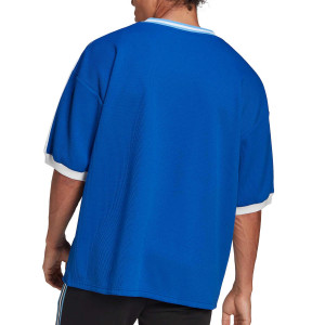 /H/G/HG4239_camiseta-azul-adidas-argentina-icon_2_completa-trasera.jpg