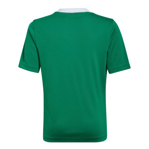 /H/I/HI2126_camiseta-verde-adidas-entrada-22-nino_2_completa-trasera.jpg