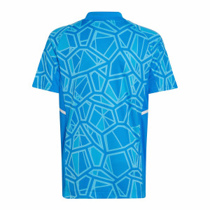 /H/I/HI6875_camiseta-azul-adidas-real-madrid-portero-nino-2022-2023_2_completa-trasera.jpg