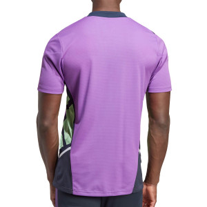 /H/T/HT8794_camiseta-purpura-adidas-real-madrid-entrenamiento-pro_2_completa-trasera.jpg