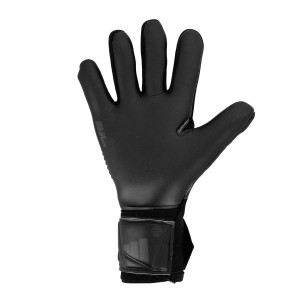 /H/Y/HY4074_guantes-portero-negros-adidas-predator-competition_2_completa-palma-mano-izquierda.jpg