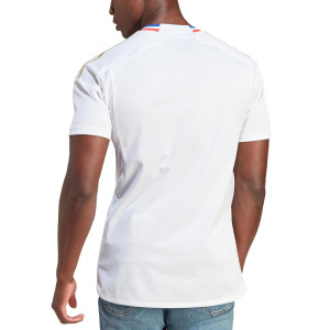 /I/B/IB0920_camiseta-blanca-adidas-olympique-lyon-2023-2024_2_completa-trasera.jpg
