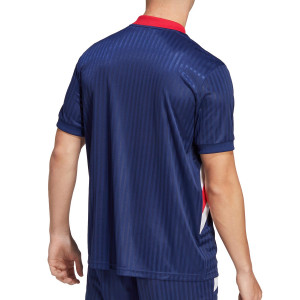 /I/C/IC3448_camiseta-azul-marino-adidas-ajax-icon_2_completa-trasera.jpg