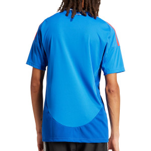 /I/N/IN0657_camiseta-azul-adidas-italia-2024_2_completa-trasera.jpg