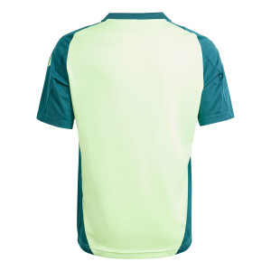 /I/P/IP6336_camiseta-verde-adidas-mexico-nino-entrenamiento-_2_completa-trasera.jpg