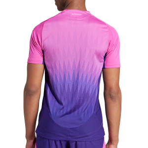 /I/P/IP8166_camiseta-rosa-adidas-2a-alemania-autentica-2024_2_completa-trasera.jpg