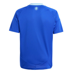 /I/P/IP8385_camiseta-azul-adidas-2a-argentina-nino-2024_2_completa-trasera.jpg
