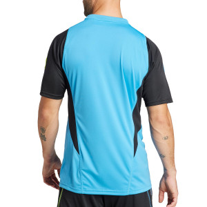 /I/P/IP9160_camiseta-azul-celeste-adidas-arsenal-entrenamiento_2_completa-trasera.jpg