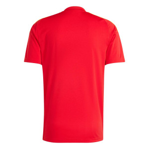 /I/P/IP9353_camiseta-roja-adidas-espana-nino-fan_2_completa-trasera.jpg