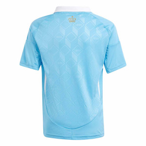 /I/Q/IQ0763_camiseta-azul-adidas-2a-belgica-nino-2024_2_completa-trasera.jpg
