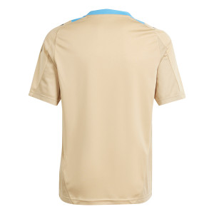 /I/Q/IQ0817_camiseta-beige-adidas-argentina-entrenamiento-nino-_2_completa-trasera.jpg