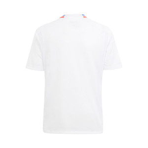 /I/R/IR0360_camiseta-blanca-adidas-olympique-lyon-nino-2023-2024_2_completa-trasera.jpg