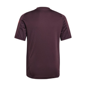 /I/S/IS9952_camiseta-granate-nike-fc-barcelona-nino-entreamiento-_2_completa-trasera.jpg