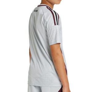 /I/T/IT3489_camiseta-gris-adidas-3a-ajax-nino-2024-2025_2_completa-trasera.jpg