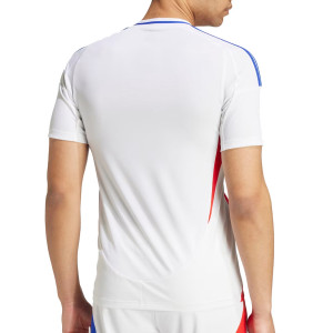 /I/T/IT6493_camiseta-blanca-adidas-olimpique-lyon-2024-2025_2_completa-trasera.jpg