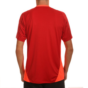 /I/V/IV4684_camiseta-roja-adidas-olympique-lyon-entrenamiento_2_completa-trasera.jpg