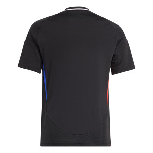 /I/V/IV4734_camiseta-negra-adidas-2a-olympique-lyon-nino-2024-2025_2_completa-trasera.jpg